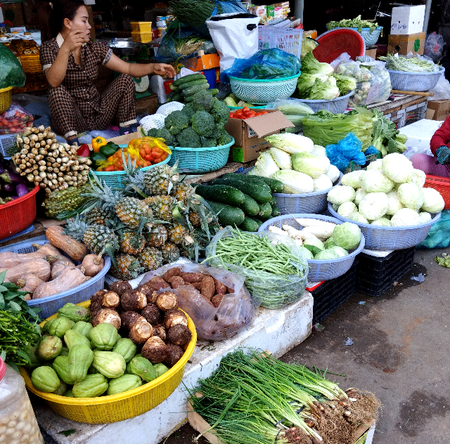 タイトル :『 【フエ】ドンバ市場でフエ観光お土産を探そう』見出し:『 ドンバ市場』関連する用語:『ベトナム、フエ、ドンバ市場、観光お土産』画像の説明文 :このお店は野菜中心ながらパイナップルも置いてあります。ベトナム料理にはパイナップルも使うからですね。