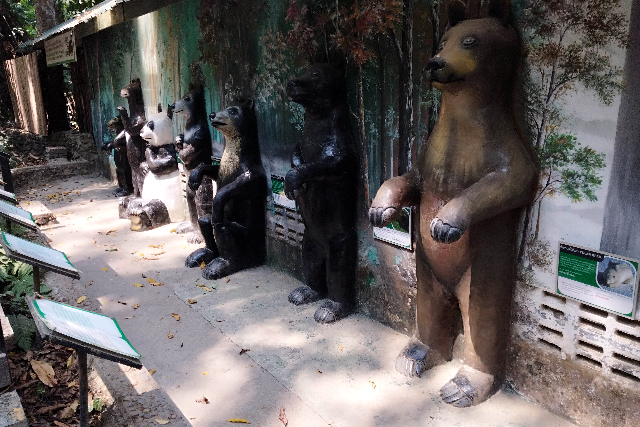 タイトル :『 クアンシーの滝で泳いできました・行き方と料金』見出し:『 野生熊自然保護区』Keyword:『ラオス・ルアンパバーン郊外にあるクアンシーの滝を実際に訪問。泳いで分かった水温や注意点、行き方、入場料・ツアー料金、所要時間を写真付きで詳しく解説。一人旅でも安心です。』画像の説明文 :*野生熊自然保護区*何故かパンダも仲間入り ？