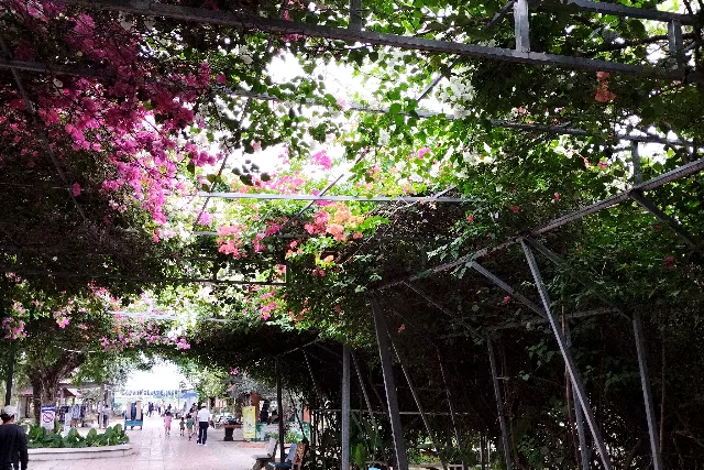 Title:『 実際に行って感じた雰囲気』画像説明 :*実際に行って感じた雰囲気*でも時間が経つにつれて慣れてくると、*この独特な世界観がだんだん面白くも感じられます*現実から少し離れた不思議な異空間に迷い込んだという感じでしょうか？