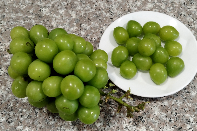 Title:『 シャインマスカットの味は？』画像説明 :*シャインマスカットの味は？*シャインマスカットも普通に山積みで売られていて、*日本の価格を思うと少し不思議な気分にもなります*日本では味を良くするため、また粒を大きくするため*一房500 〜 600g  になるように手を加え、種無し処理もしますが*ここでは「そのまんま」育てるようです