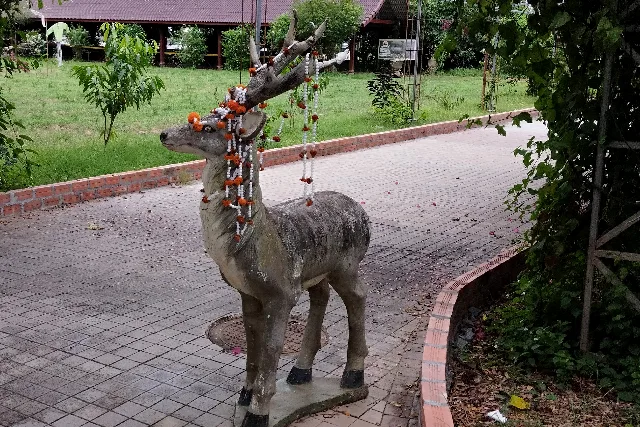 Title:『 ブッダパークへの行き方｜ビエンチャン市内からのアクセス』画像説明 :*ブッダパークへの行き方｜ビエンチャン市内からのアクセス*ブッダパークは、ビエンチャン市内中心部から少し離れた郊外にあります*距離はありますが、個人旅行でも問題なく行ける観光地です