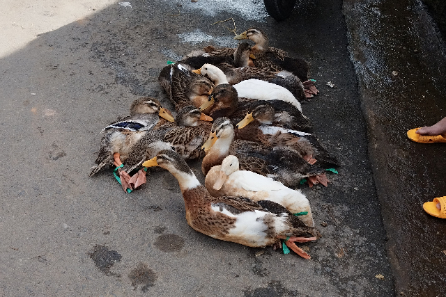 Title:『 チャイマット駅から歩いて向かう、リンフォック寺までの道のり』画像説明 :*チャイマット駅から歩いて向かう、リンフォック寺までの道のり*ベトナム・リンフォック寺（霊福寺）に向かう道沿いにある地元の市場風景でチャイマット駅から５分ぐらいのところにあります