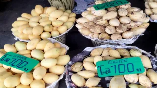 Thumbnail of new posts 040