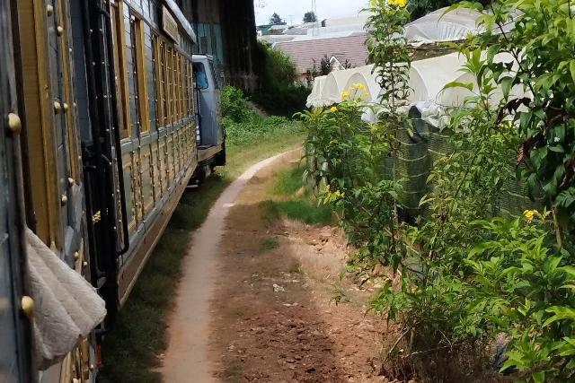 Title:『 正直、ただの「ダラット高原 移動」だと思っていたので、良い意味で期待を裏切られました』画像説明 :*正直、ただの「ダラット高原 移動」だと思っていたので、良い意味で期待を裏切られました*車窓に広がる沿線の風景と、生演奏のバイオリン。