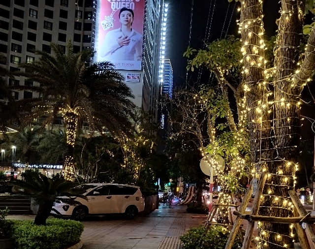 Sub_title: 生簀で選ぶ、車海老| tag : ニャチャン 街歩き,ニャチャン ビーチ 場所,ニャチャン 観光,ニャチャン 行き方,| 画像説明 : _生簀で選ぶ、車海老_雨続きのニャチャンで、_ようやく落ち着いて楽しめた夕食でした_街路樹の電飾が一際綺麗にみえる4日目のニャチャンです