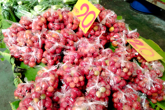 Sub_title: 山盛りトマト｜太陽で育つ赤| tag : タイ　ガネーシャ、ピンクガネーシャ、行き方、バス、電車、ツアー、置物、お土産、ネズミ、なぜ| 画像説明 : _山盛りトマト｜太陽で育つ赤_赤く熟したトマトが山積み_形は不揃いだけどそれが自然でいい_家庭菜園でトマトを育てると分かりますよね