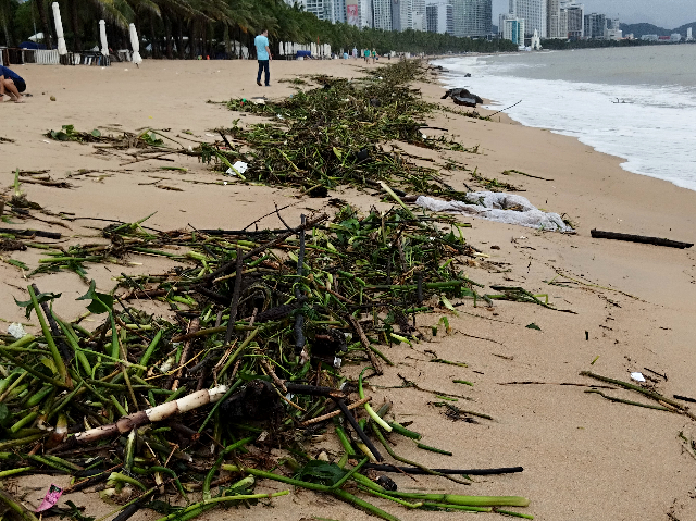 Sub_title: 雨のあとの海岸へ| tag : ニャチャン 街歩き,ニャチャン ビーチ 場所,ニャチャン 観光,ニャチャン 行き方,| 画像説明 : _雨のあとの海岸へ_天気も少し回復してきたようなのでここで海岸へ_そこで本当の「驚き」を目にしました