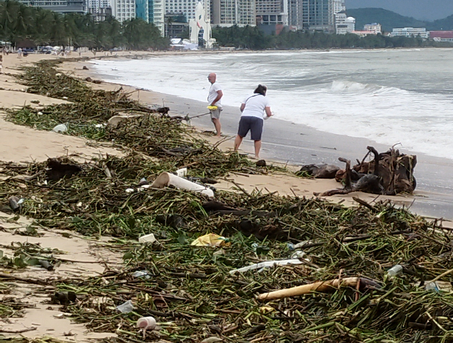 Sub_title: 雨のあとの海岸へ| tag : ニャチャン 街歩き,ニャチャン ビーチ 場所,ニャチャン 観光,ニャチャン 行き方,| 画像説明 : _雨のあとの海岸へ_前日の大雨で、内陸部では洪水も発生_押し流された樹木がそのままここに流れ着いたのでしょう